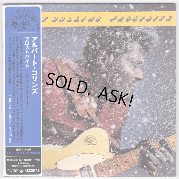 Photo1: ALBERT COLLINS / FROSTBITE (Used Japan Mini LP CD) (1)