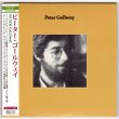 Photo1: PETER GALLWAY / PETER GALLWAY (Used Japan Mini LP CD) Fifth Avenue Band (1)