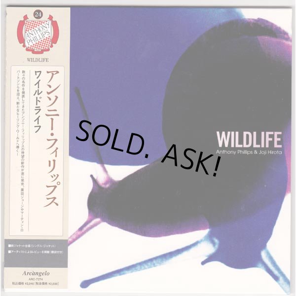 Photo1: ANTHONY PHILLIPS & JOJI HIROTA / WILDLIFE (Used Japan Mini LP CD) (1)