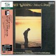 Photo1: JOHN G. PERRY / SUNSET WADING (Used Japan Mini LP CD - Promo Sample) (1)