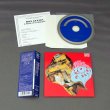 Photo2: RON GEESIN / A RAISE OF EYEBROWS (Used Japan mini LP CD) (2)