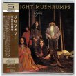 Photo5: GRYPHON / GRYPHON 4 Mini LP CDs Promo Box SET (Brand New Japan Mini LP SHM-CDs set w/ Bell Antique Promo BOX) (5)
