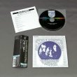 Photo2: BLUE CHEER / VINCEBUS FRUPTUM (Used Japan Mini LP CD) (2)
