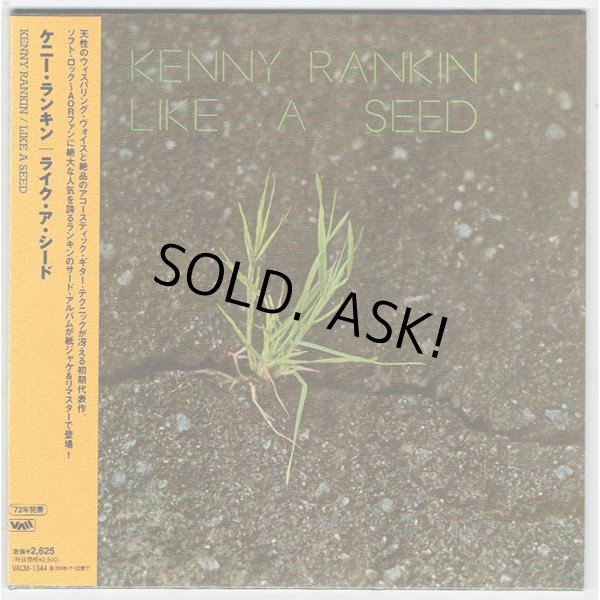 Photo1: KENNY RANKIN / LIKE A SEED (Used Japan Mini LP CD) (1)