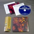 Photo2: JOHN MAYALL & THE BLUESBREAKERS / BARE WIRES (Used Japan Mini LP SHM-CD) (2)