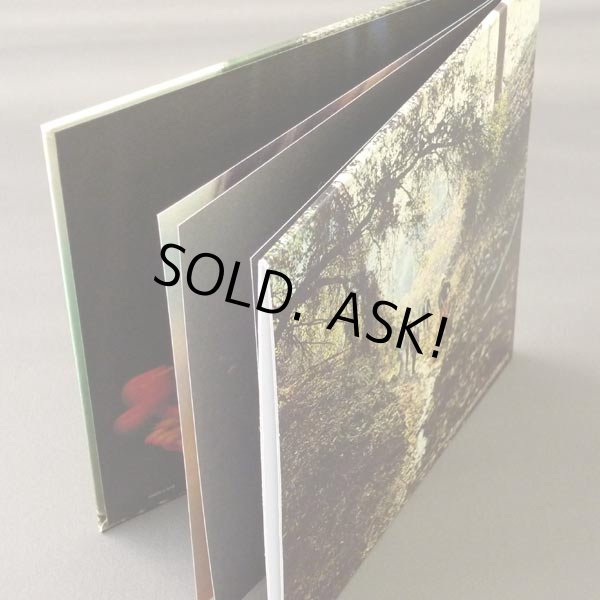 Photo2: THE ROLLING STONES / BIG HITS - HIGH TIDE AND GREEN GRASS (Used Japan Mini LP CD) (2)