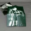 Photo3: HORSLIPS / THE TAIN (Used Japan Mini LP CD) (3)