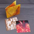 Photo3: THE ROLLING STONES / GOATS HEAD SOUP (Used Japan Mini LP CD) (3)