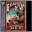 Photo1: GRATEFUL DEAD / WITHOUT A NET (Used Japan mini LP CD) (1)