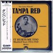 Photo1: TAMPA RED / IT HURTS ME TOO; BLUEBIRD YEARS 1934-1940 (Brand New Japan mini LP CD) * B/O * (1)