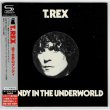 Photo1: T. REX / DANDY IN THE UNDERWORLD (Used Japan mini LP SHM-CD, Promo/Loaned) (1)