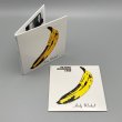 Photo4: VELVET UNDERGROUND & NICO / VELVET UNDERGROUND & NICO - DELUXE EDITION (Used Japan mini LP SHM-CD) (4)